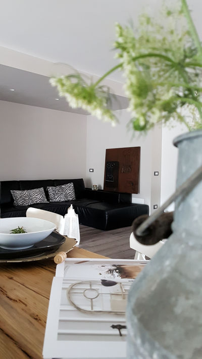 Monica Mariz casa privata albiano dettaglio soggiorno con pianta e divanbo in pelle