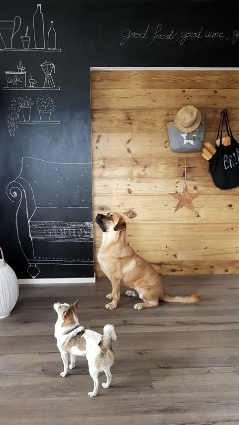 Monica Mariz casa privata albiano parete lavagna e cani in contemplazione