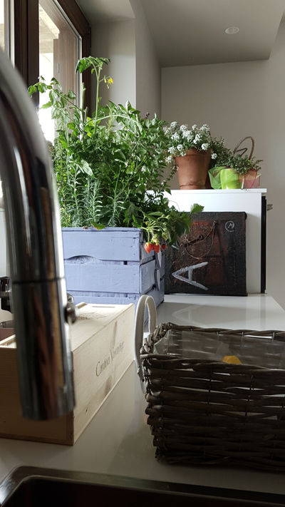 Monica Mariz casa privata albiano piano cucina con piante